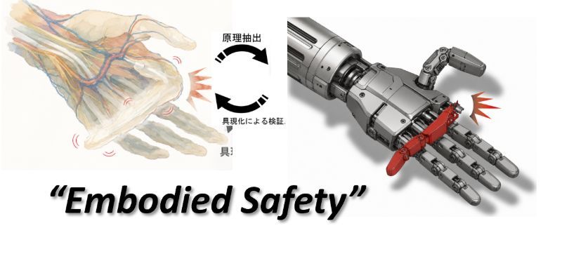 人の手の構造から原理を抽出し、ロボットの手で具現化・検証する概念図